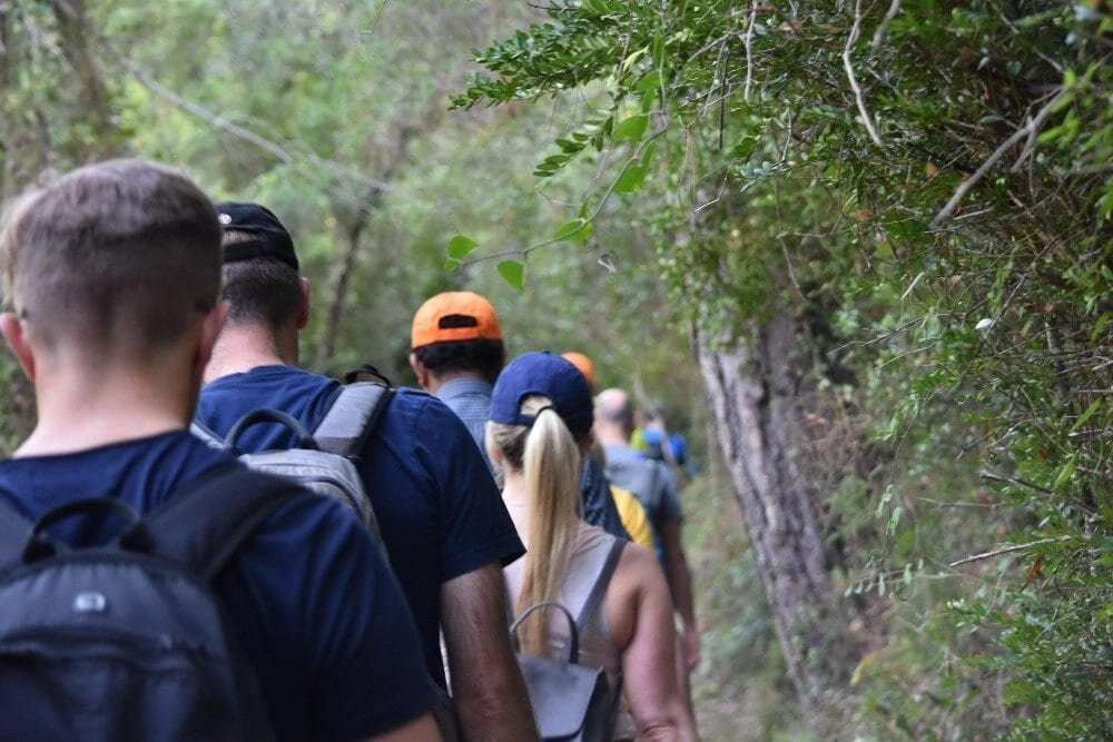Executive cohort walking a forest trail near Barcelona